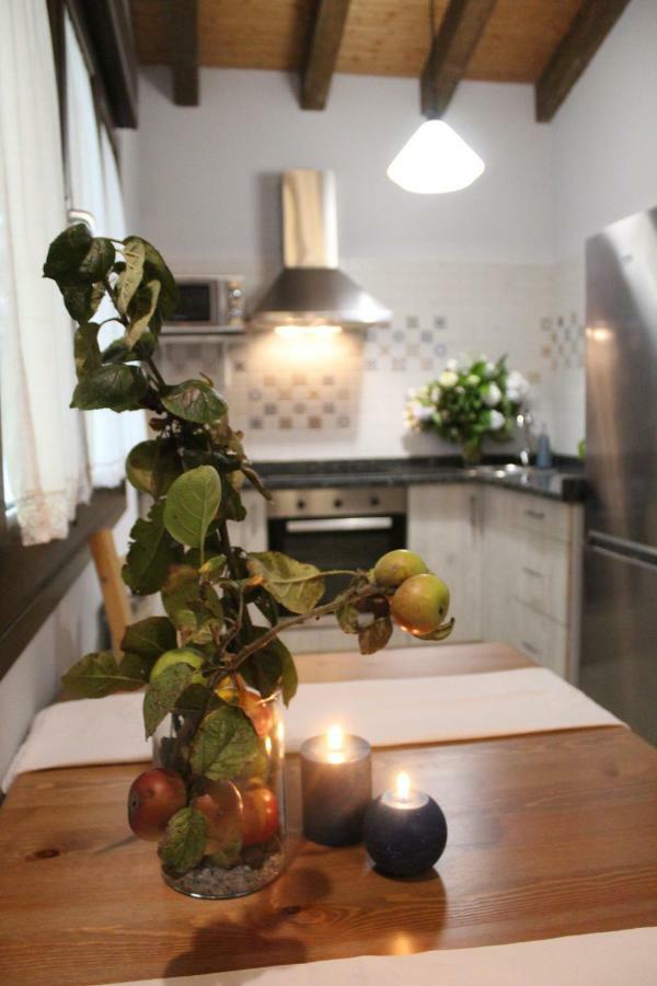 Las Carriles Apartamentos Rurales Oviñana エクステリア 写真